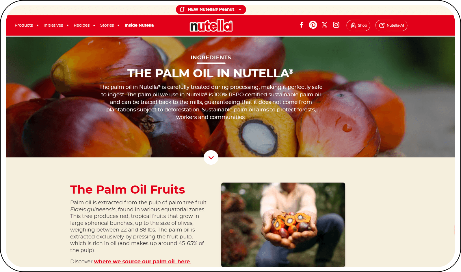 Официальное разъяснение Nutella о безопасности пальмового масла как пример защиты бренда от черного пиара